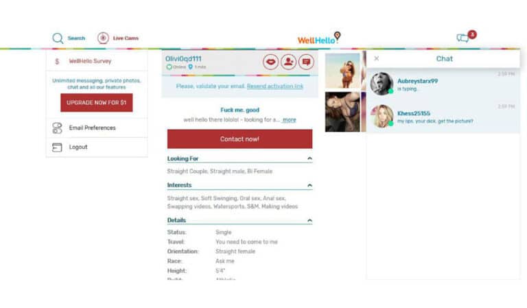 WellHello Review 2023 – Uma análise detalhada da popular plataforma de encontros