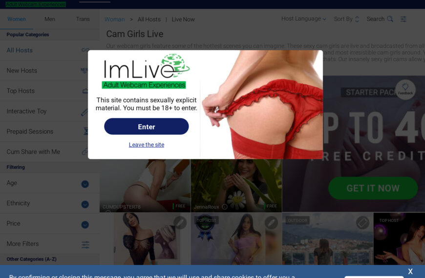 Exploring the World of Online Dating – ImLive Review