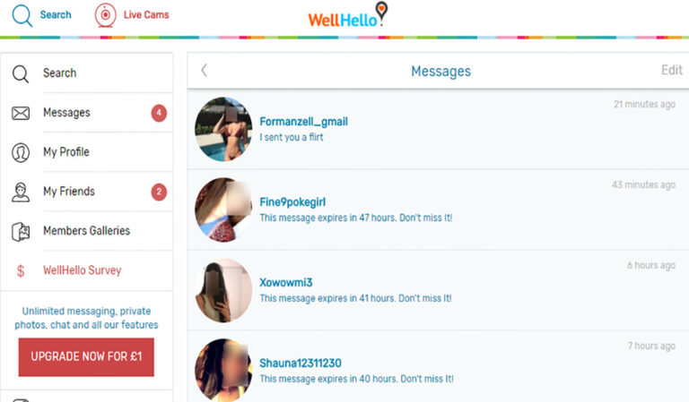WellHello Review 2023: una mirada en profundidad a la popular plataforma de citas