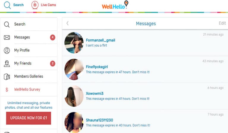 WellHello Review 2023 &#8211; Un regard approfondi sur la plate-forme de rencontre populaire