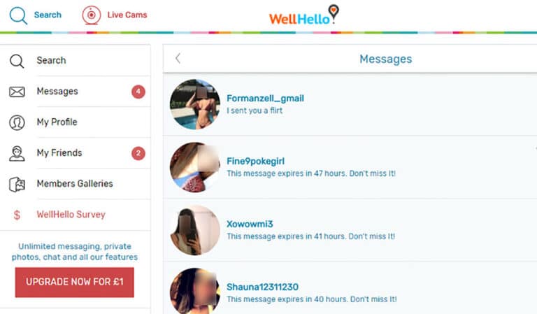 WellHello Review 2023 &#8211; Uno sguardo approfondito alla popolare piattaforma di incontri